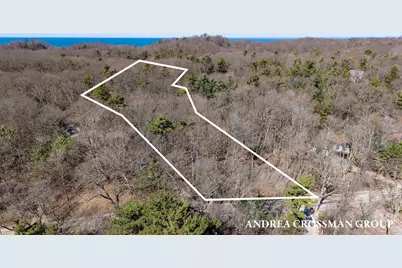 110 Park Street, Saugatuck, MI 49453 - Photo 1