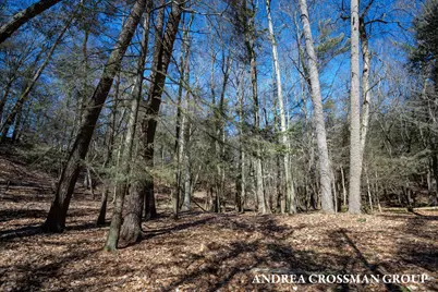 110 Park Street, Saugatuck, MI 49453 - Photo 21