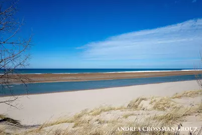 110 Park Street, Saugatuck, MI 49453 - Photo 33