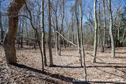 110 Park Street, Saugatuck, MI 49453 - Photo 15