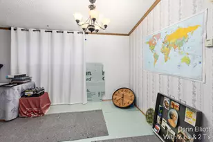 1133 Yeomans St, Ionia, MI 48846 - Photo 9