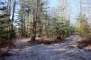 5717 Maple Ridge Rd, Sterling, MI 48659 - Photo 83