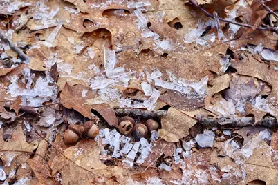 5717 Maple Ridge Road, Sterling, MI 48659 - Photo 7