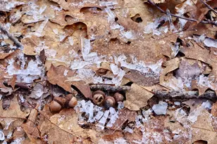 5717 Maple Ridge Rd, Sterling, MI 48659 - Photo 7