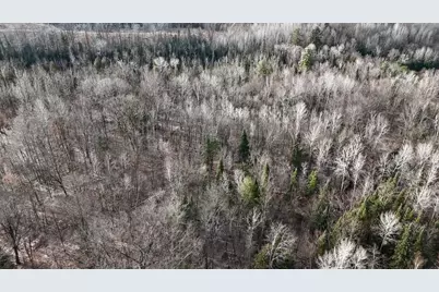 5717 Maple Ridge Road, Sterling, MI 48659 - Photo 95