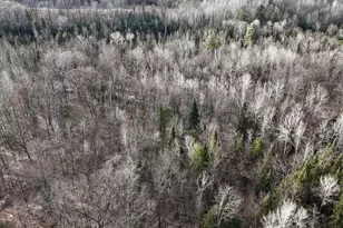 5717 Maple Ridge Rd, Sterling, MI 48659 - Photo 95