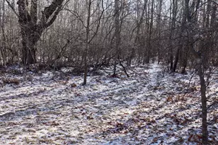 5717 Maple Ridge Rd, Sterling, MI 48659 - Photo 93