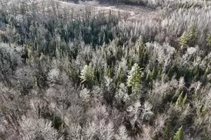 5717 Maple Ridge Rd, Sterling, MI 48659 - Photo 71