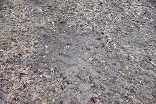 5717 Maple Ridge Rd, Sterling, MI 48659 - Photo 79