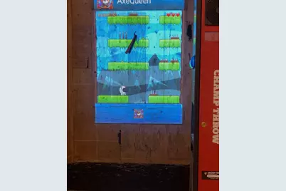 3883 W Carleton Road, Hillsdale, MI 49242 - Photo 79