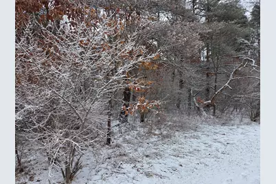 1138 N Thornapple Avenue, White Cloud, MI 49349 - Photo 3