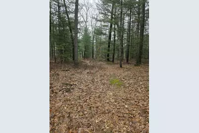 673 S Wolf Lake Road, Muskegon, MI 49442 - Photo 49