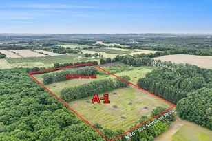 19 19 A W 40th Ave, Mears, MI 49436 - Photo 1