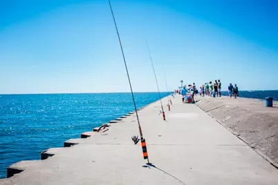 1508 Forres Avenue, Saint Joseph, MI 49085 - Photo 45