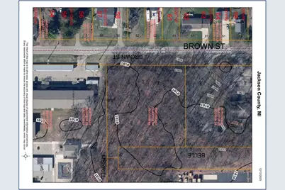 0 N Brown Street, Jackson, MI 49202 - Photo 3