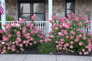 11 Santalina Trail, Battle Creek, MI 49014 - Photo 3