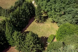 1442 W Tyler Rd, Hart, MI 49420 - Photo 63