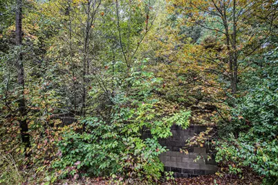 V/L Collier Ave Avenue, Battle Creek, MI 49017 - Photo 11