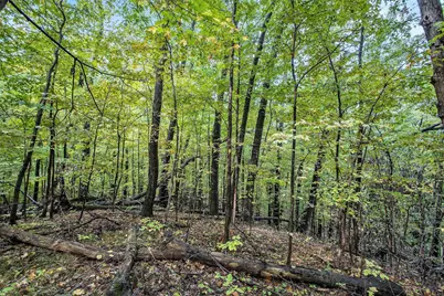 V/L Collier Ave Avenue, Battle Creek, MI 49017 - Photo 9