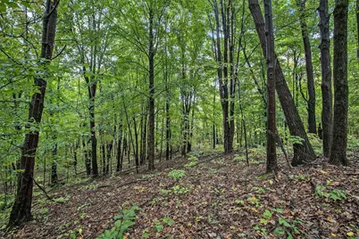 V/L Collier Ave Avenue, Battle Creek, MI 49017 - Photo 7