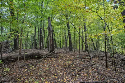 V/L Collier Ave Avenue, Battle Creek, MI 49017 - Photo 5