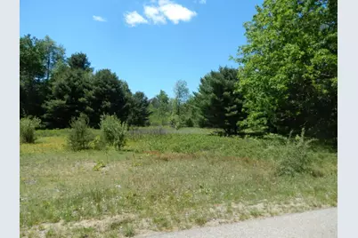 6265 Kilkenny Drive, Canadian Lakes, MI 49346 - Photo 1