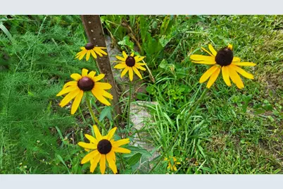 6246 S Brooklyn Road, Jackson, MI 49201 - Photo 61