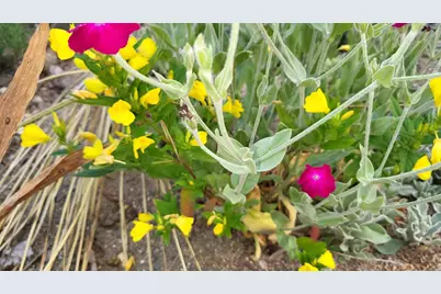 6246 S Brooklyn Road, Jackson, MI 49201 - Photo 59