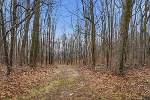 12500 11 Mile Rd, Ceresco, MI 49033 - Photo 65