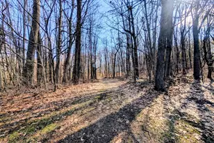 12500 11 Mile Rd, Ceresco, MI 49033 - Photo 67