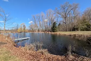 12500 11 Mile Rd, Ceresco, MI 49033 - Photo 15