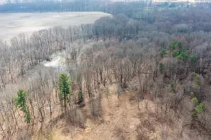 12500 11 Mile Rd, Ceresco, MI 49033 - Photo 69