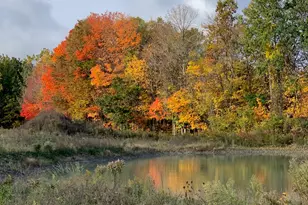 V/L Hidden Creek Trail, Hamilton, MI 49419 - Photo 1