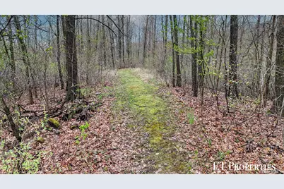 14255 Myers Lake Avenue NE, Cedar Springs, MI 49319 - Photo 5