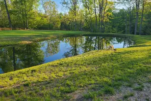 19550 Washington Rd, Morley, MI 49336 - Photo 27