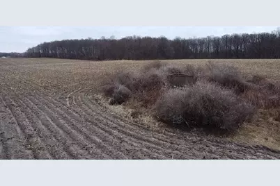 13048 Sullivan Road, Emmett, MI 48022 - Photo 11