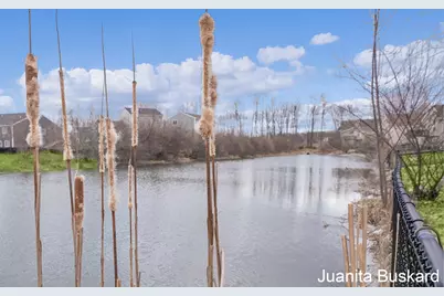 6279 Timber Drive, Allendale, MI 49401 - Photo 41