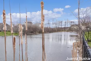 6279 Timber Dr, Allendale, MI 49401 - Photo 41