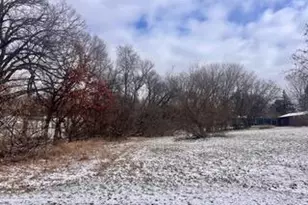 Lot 6 Sherman St, Sheridan, MI 48884 - Photo 1