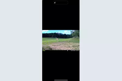 1398 12 Mile Road, Remus, MI 49340 - Photo 91