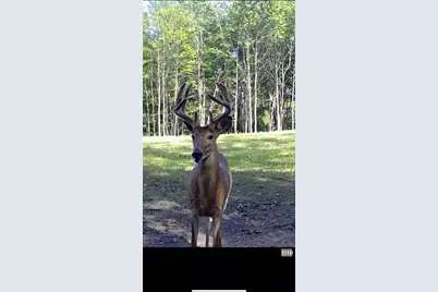 1398 12 Mile Road, Remus, MI 49340 - Photo 87