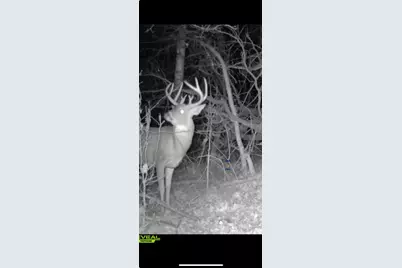 1398 12 Mile Road, Remus, MI 49340 - Photo 83