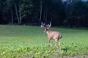 1398 12 Mile Rd, Remus, MI 49340 - Photo 27