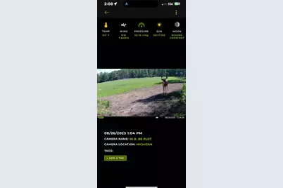 1398 12 Mile Road, Remus, MI 49340 - Photo 71