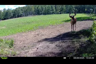 1398 12 Mile Rd, Remus, MI 49340 - Photo 71