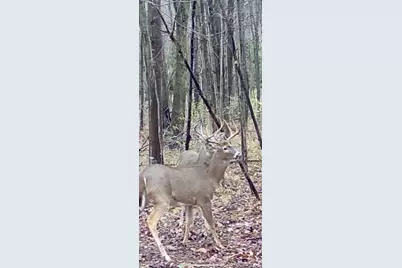 1398 12 Mile Road, Remus, MI 49340 - Photo 101