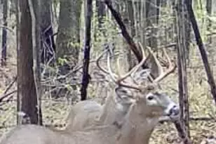 1398 12 Mile Rd, Remus, MI 49340 - Photo 101