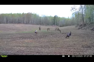 1398 12 Mile Rd, Remus, MI 49340 - Photo 77