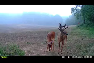 1398 12 Mile Rd, Remus, MI 49340 - Photo 69