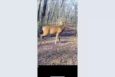 1398 12 Mile Road, Remus, MI 49340 - Photo 103